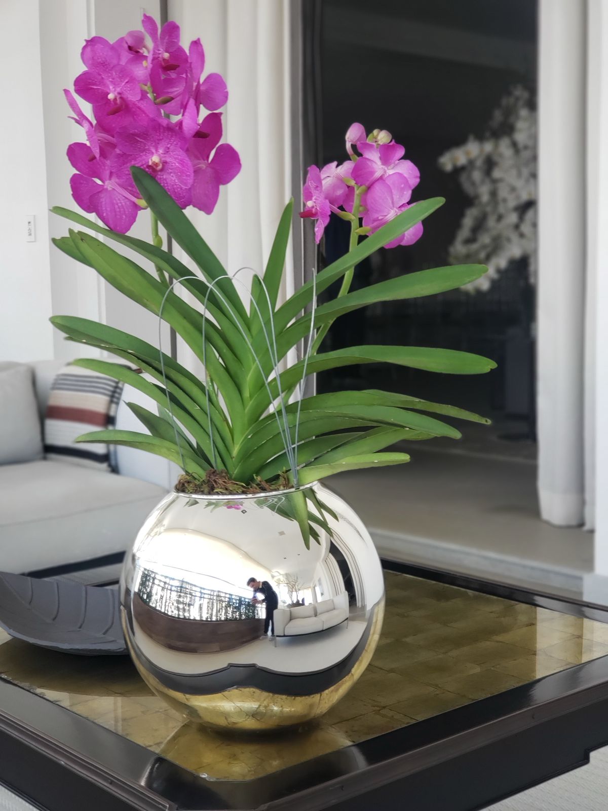 Sta Flor — Floricultura Itaim Bibi