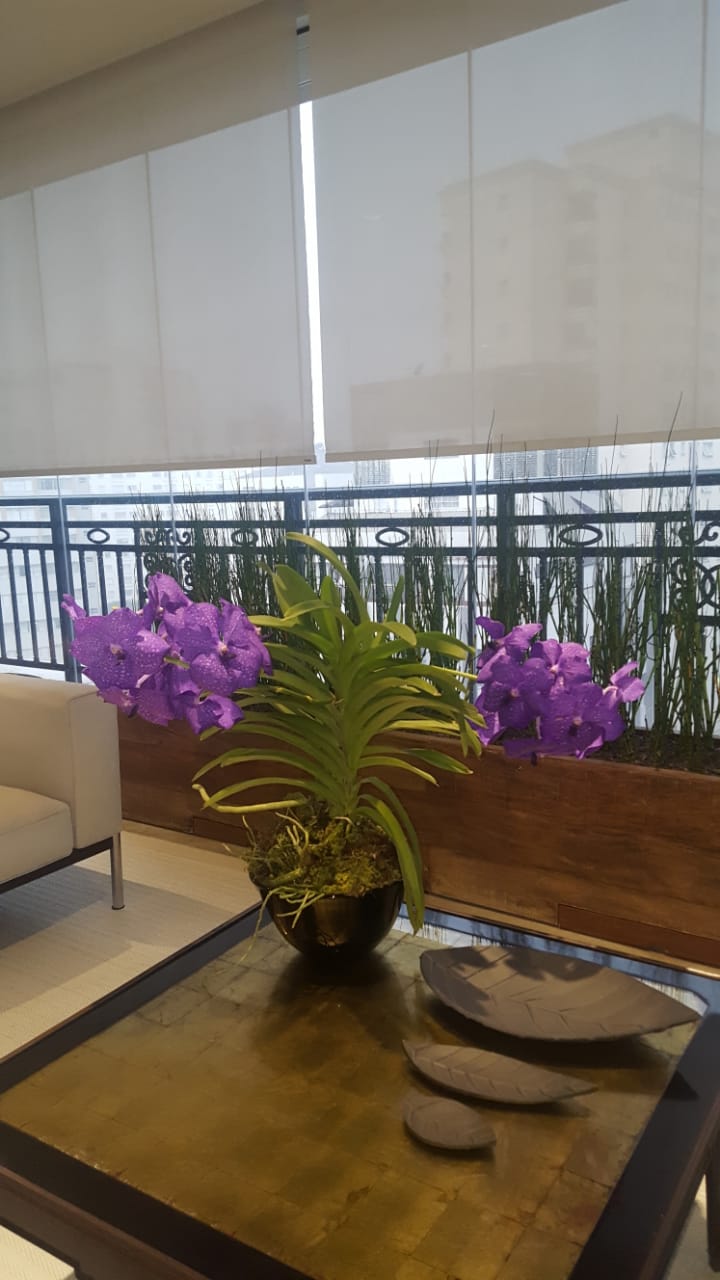 Assinaturas Sta Flor