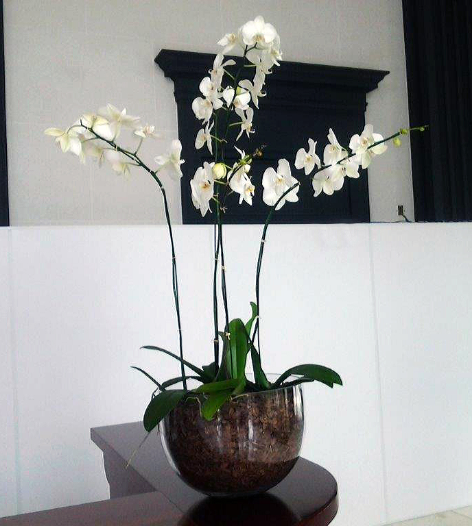 Eventos Corporativos